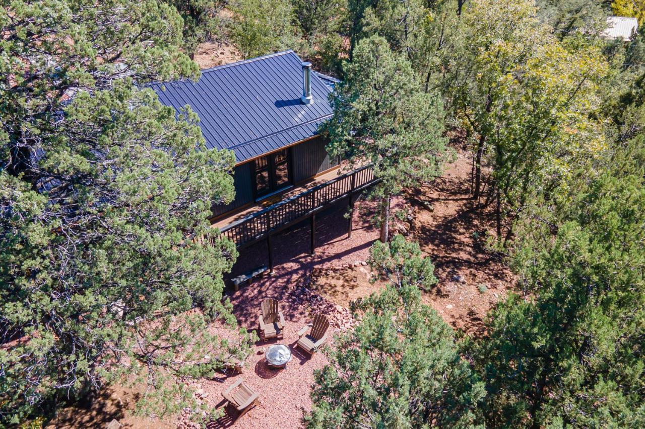 הוילה The Pine House - Cozy Mid-Century Modern, Pet-Friendly מראה חיצוני תמונה